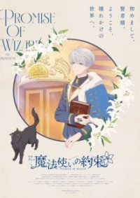Cover Promise of Wizard, Poster
